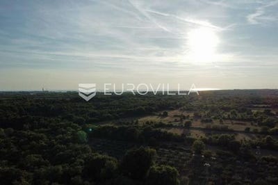 /international/hr/vodnjan-istria-county-310105992043/