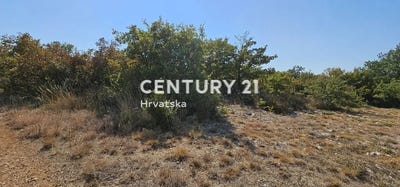 /international/hr/zadarska-zupanija-zadar-county-310106857612/