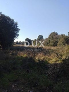 /international/hr/liznjan-istria-county-120096488319/