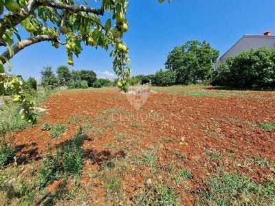 /international/hr/novigrad-istria-county-120094145046/