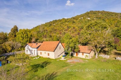 /international/hr/gospi-zadar-county-310107218631/