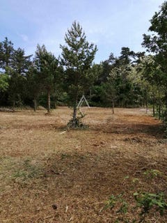 /international/hr/istarska-zupanija-istria-county-310105829043/