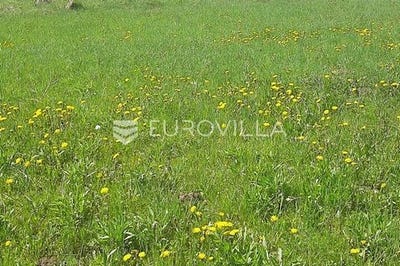 /international/hr/karlovac-karlovac-county-310104799850/