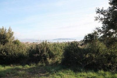 /international/hr/kastel-luksic-split-dalmatia-county-310106631992/