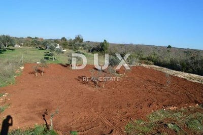 /international/hr/fazana-istria-county-310098837040/