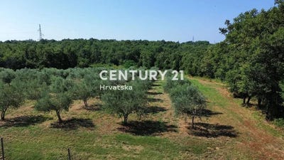 /international/hr/istarska-zupanija-istria-county-310096246897/