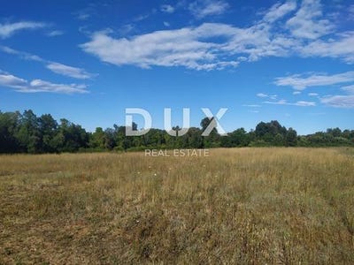 /international/hr/liznjan-istria-county-310099949277/