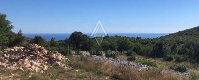 /international/hr/istarska-zupanija-istria-county-310103995115/