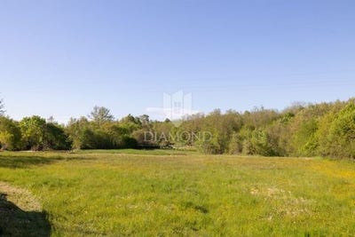 /international/hr/zminj-istria-county-310106880377/