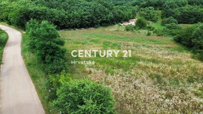 /international/hr/istarska-zupanija-istria-county-310106858183/
