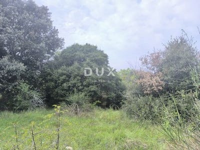 /international/hr/medulin-istria-county-310107365864/