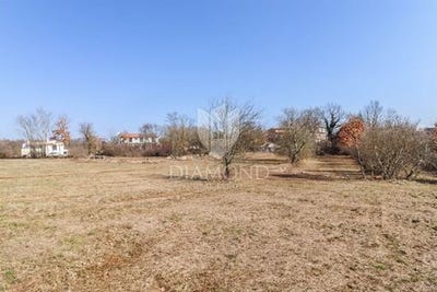 /international/hr/tinjan-istria-county-120077095936/
