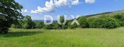 /international/hr/buzet-istria-county-310098842180/