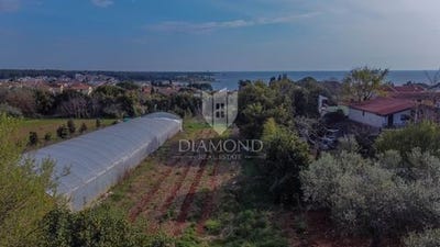 /international/hr/umag-istria-county-310106877461/