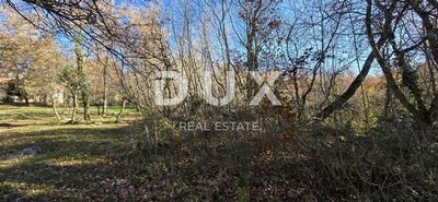 /international/hr/tinjan-istria-county-120096365946/