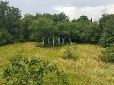 /international/hr/vinodolska-opcina-primorje-gorski-kotar-county-120071797882/
