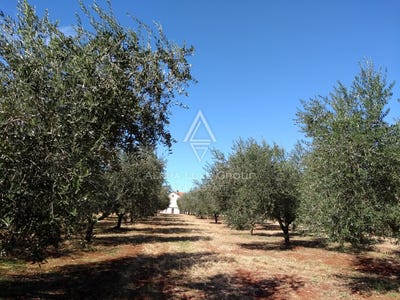 /international/hr/istarska-zupanija-istria-county-310104077613/