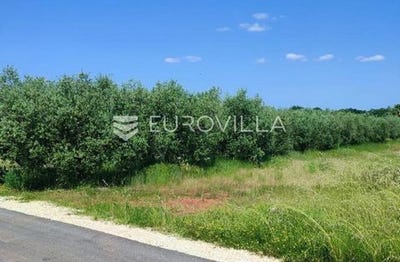 /international/hr/porec-istria-county-120093967105/
