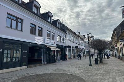 /international/hr/pozega-pozega-slavonia-county-310105897154/
