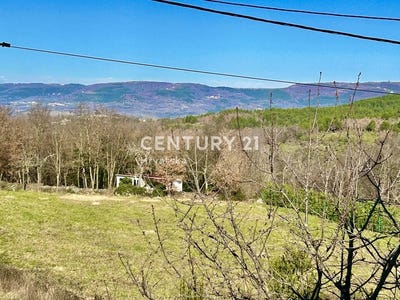 /international/hr/istarska-zupanija-istria-county-310106858443/