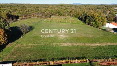 /international/hr/istarska-zupanija-istria-county-310105649954/