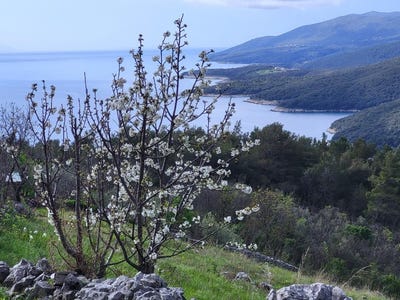 /international/hr/istarska-zupanija-istria-county-310108990905/
