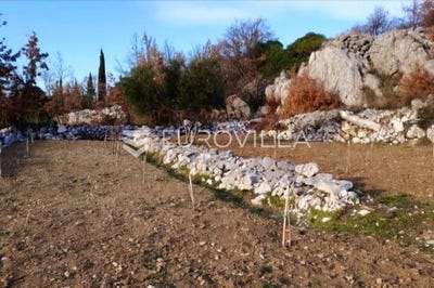 /international/hr/makarska-split-dalmatia-county-310103730445/