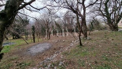 /international/hr/vinodolska-opcina-primorje-gorski-kotar-county-120075577127/