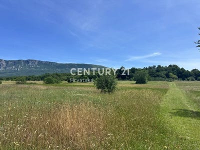 /international/hr/istarska-zupanija-istria-county-310108697187/