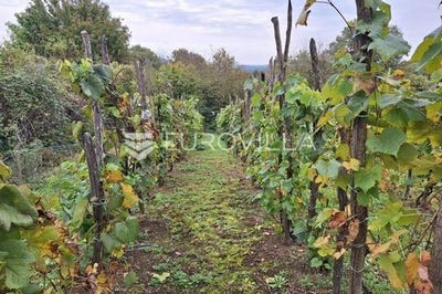 /international/hr/duga-resa-karlovac-county-310102910772/