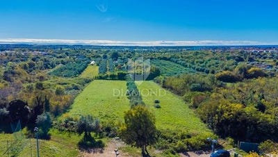 /international/hr/umag-istria-county-310106830250/