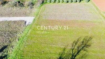 /international/hr/istarska-zupanija-istria-county-310106854492/