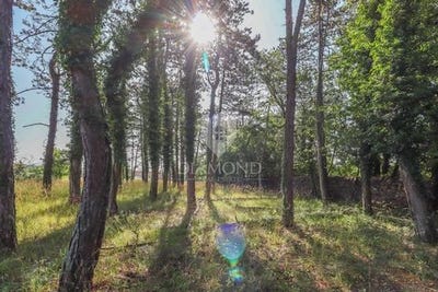 /international/hr/zminj-istria-county-310100402944/?lang=zh-tw