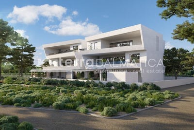 /international/hr/ugljan-zadar-county-310108650172/