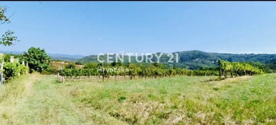 /international/hr/istarska-zupanija-istria-county-310106856767/
