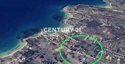 /international/hr/zadarska-zupanija-zadar-county-310096247076/