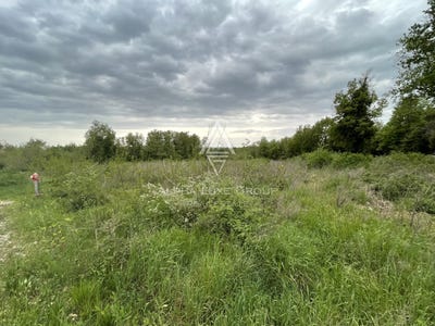 /international/hr/istarska-zupanija-istria-county-310107357798/