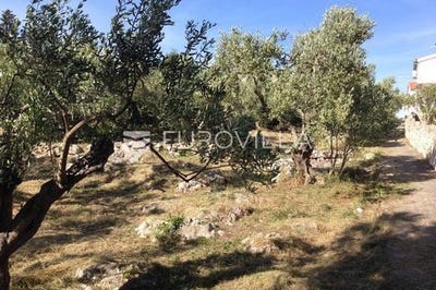 /international/hr/zadar-zadar-county-310100403460/