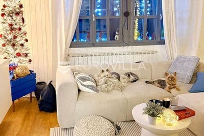 /international/hr/karlovac-karlovac-county-310108595661/