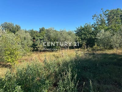 /international/hr/istarska-zupanija-istria-county-310100991227/?lang=zh-tw