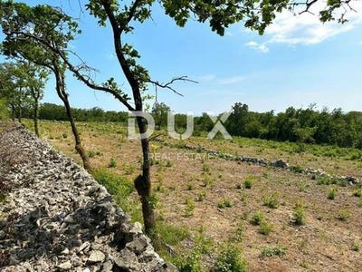 /international/hr/rasa-istria-county-120093628766/