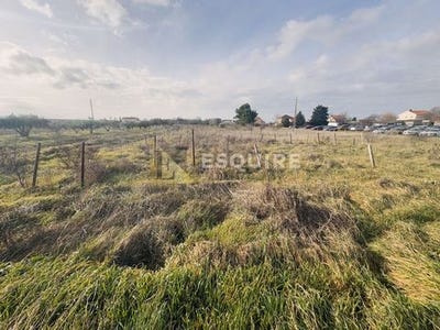 /international/hr/zemunik-donji-zadar-county-310105006926/