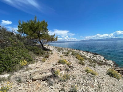 /international/hr/necujam-split-dalmatia-county-310108260716/