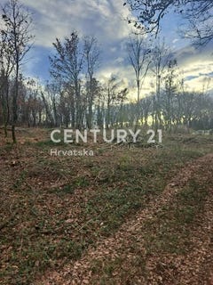 /international/hr/istarska-zupanija-istria-county-310105828672/