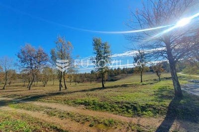 /international/hr/porec-istria-county-120087677212/