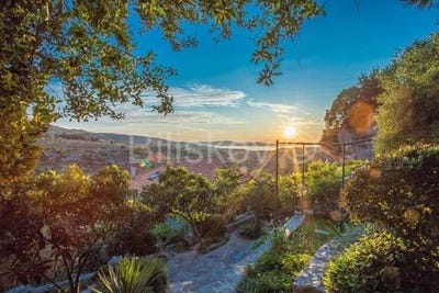 /international/hr/brac-split-dalmatia-county-310100662533/
