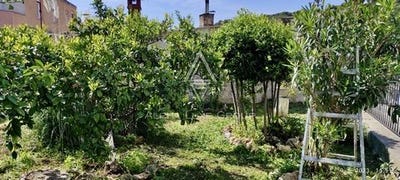 /international/hr/pula-istria-county-310109128390/