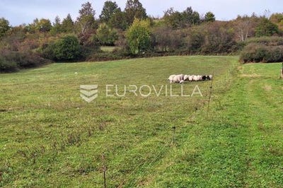 /international/hr/karlovac-karlovac-county-310102765672/