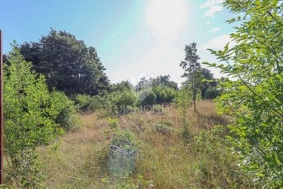 /international/hr/kanfanar-istria-county-310101385291/