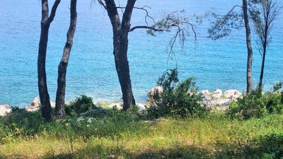 /international/hr/jelsa-split-dalmatia-county-310105209144/